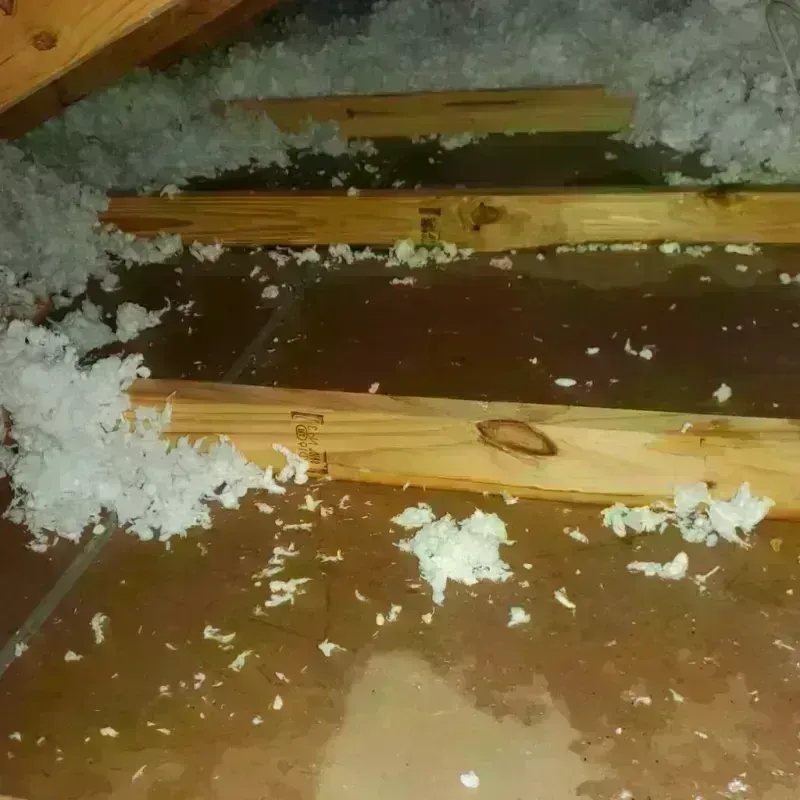 Attic Water Damage in Westwood, MI