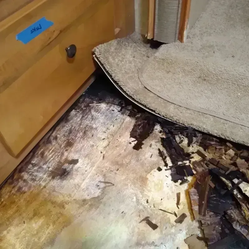 Wood Floor Water Damage in Westwood, MI